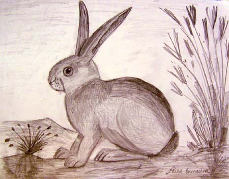 Rabbyt