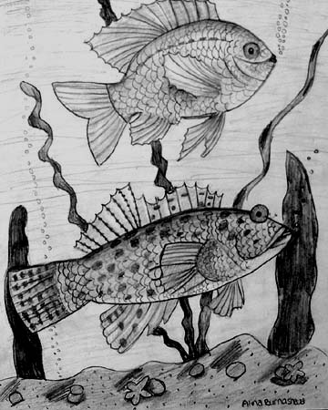 Underwater