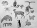 Sketches_3