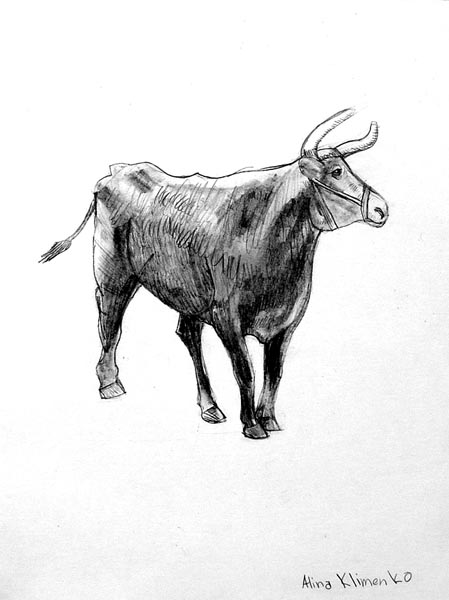 Cow