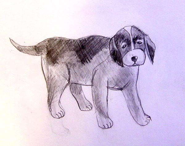 Dog