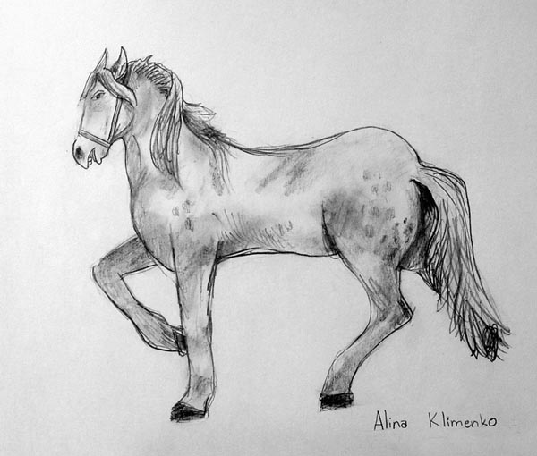 Horse