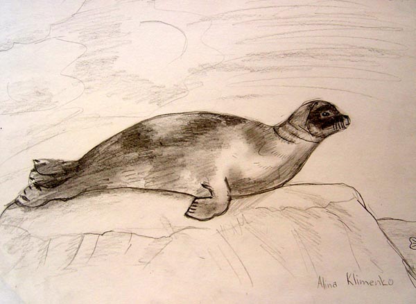 Seal