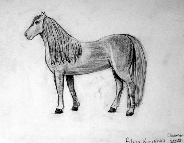 Horse