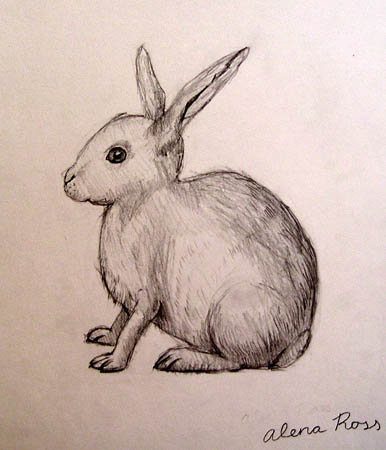 Rabbyt