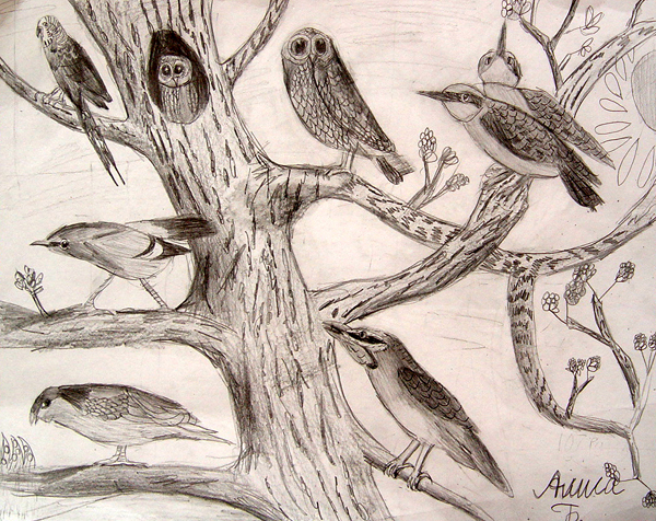 Birds