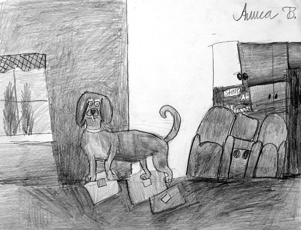 Dog