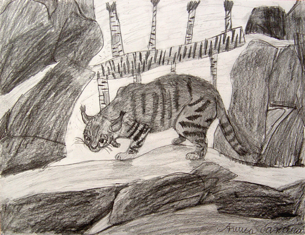 Lynx