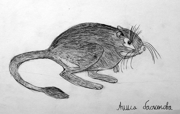 Mouse