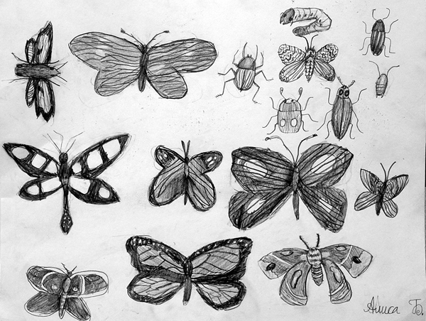 Sketches_1