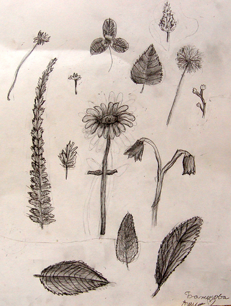 Sketches_2