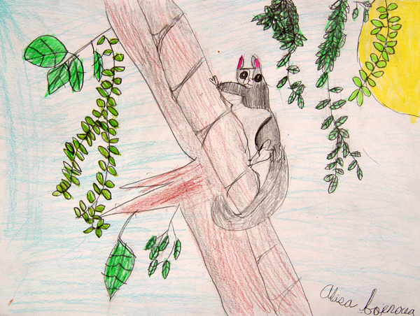 Squirrel_2