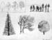 Sketches