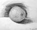 Study_2
