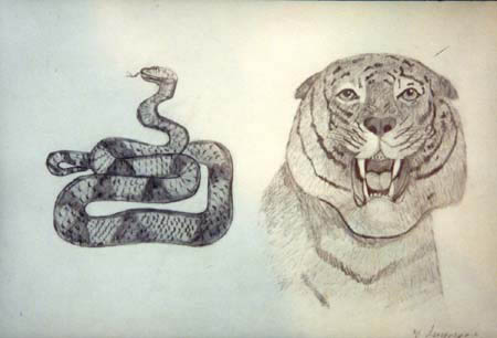 A tiger and a snake