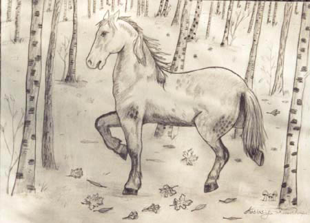 Horse_1