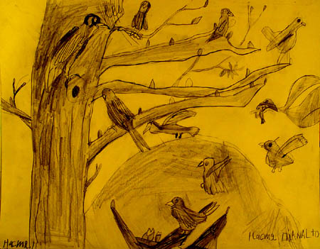 Birds