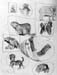Sketches_1