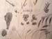 Sketches_2