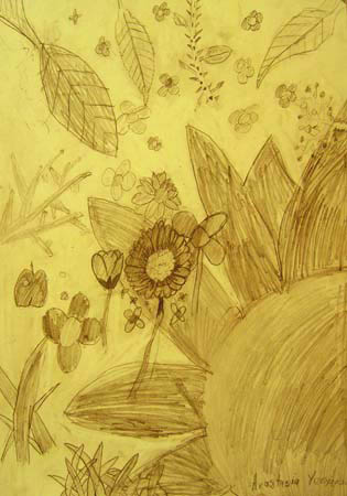 Sketches