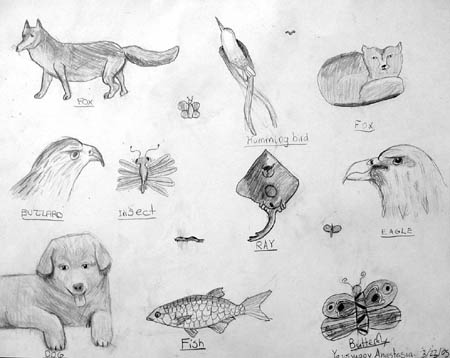 Sketches_2