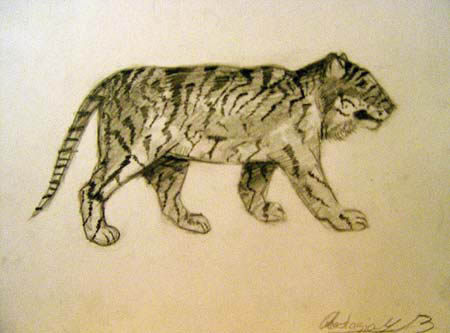 Tiger