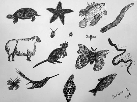 Sketches_4_(pen)