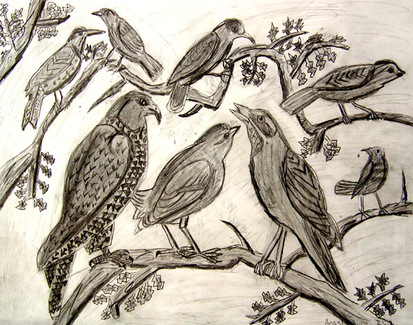 Birds