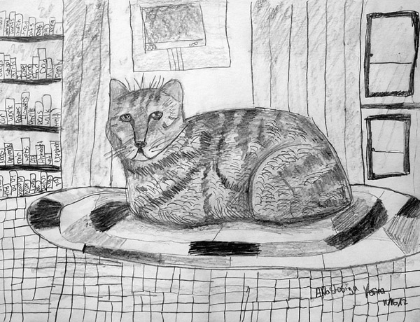 Cat