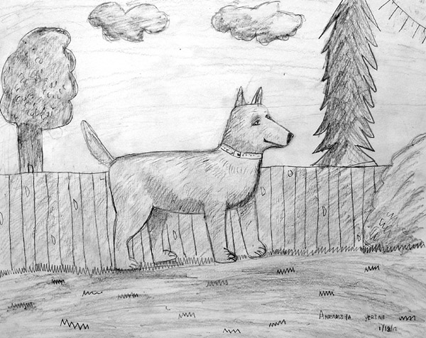 Dog