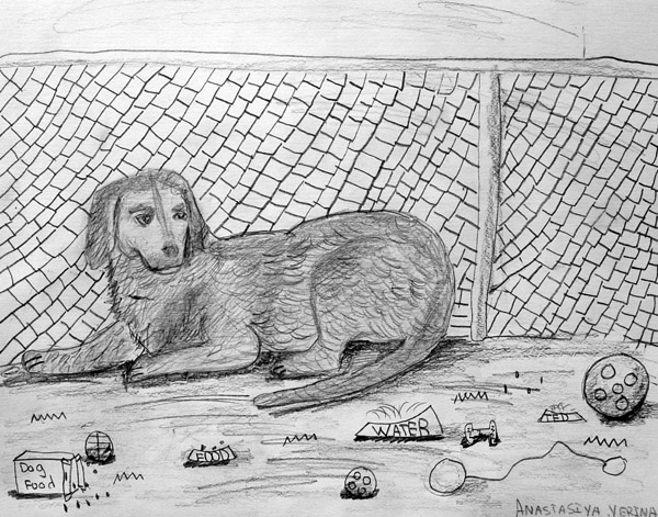 Dog_2