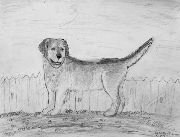 Dog_3