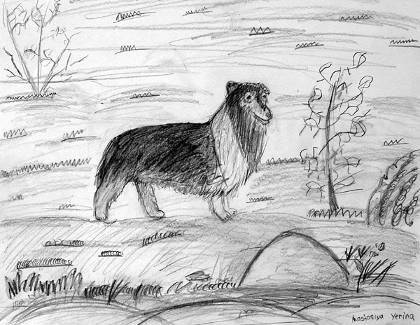 Dog_4