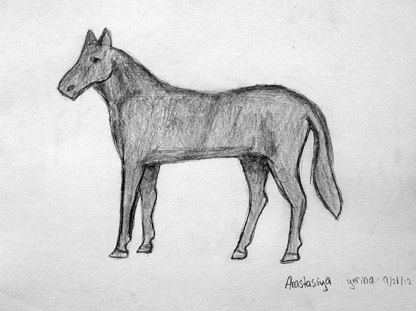 Horse