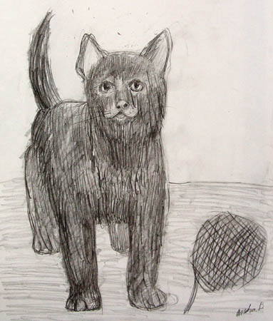 Cat