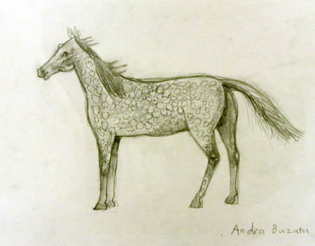 Horse