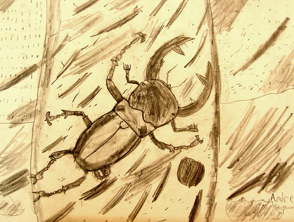 Beetle
