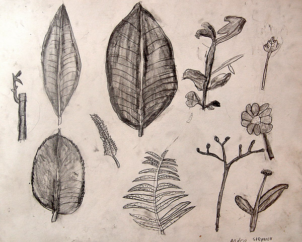 Sketches_1