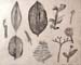 Sketches_1