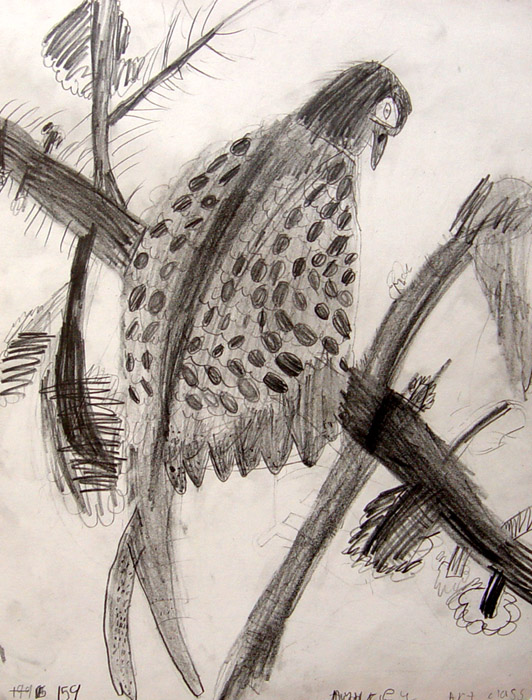 Bird