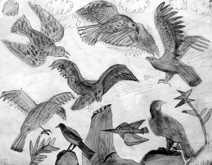 Birds