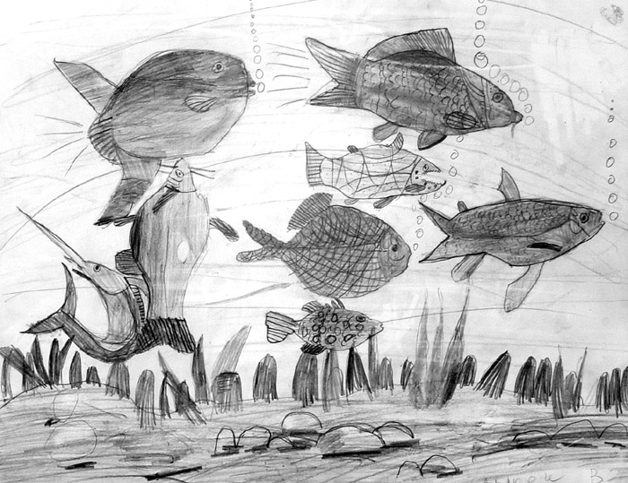 Fish