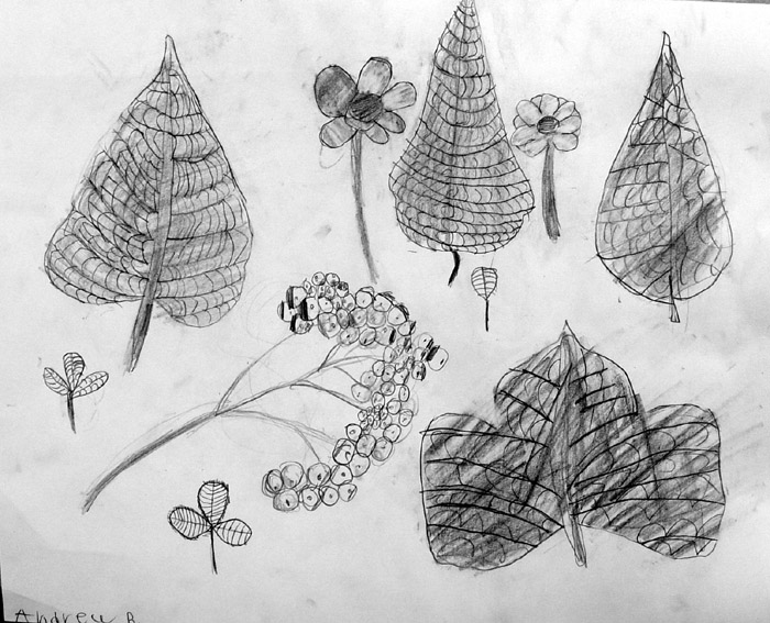 Sketches