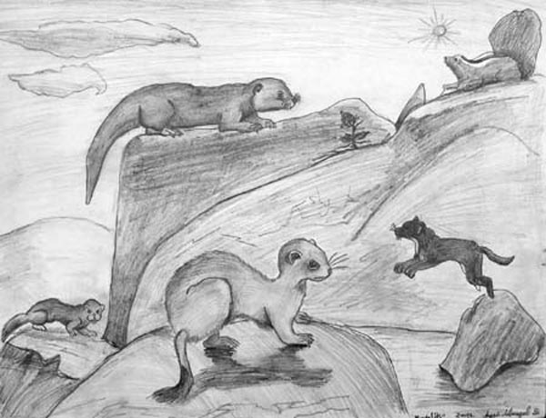 Animals