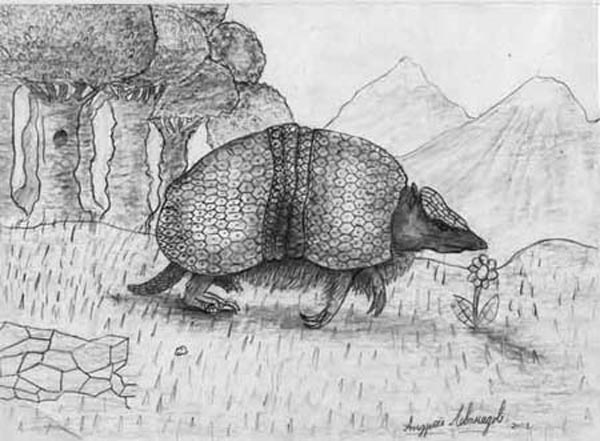 Armodillo