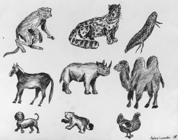 Sketches_(pen)