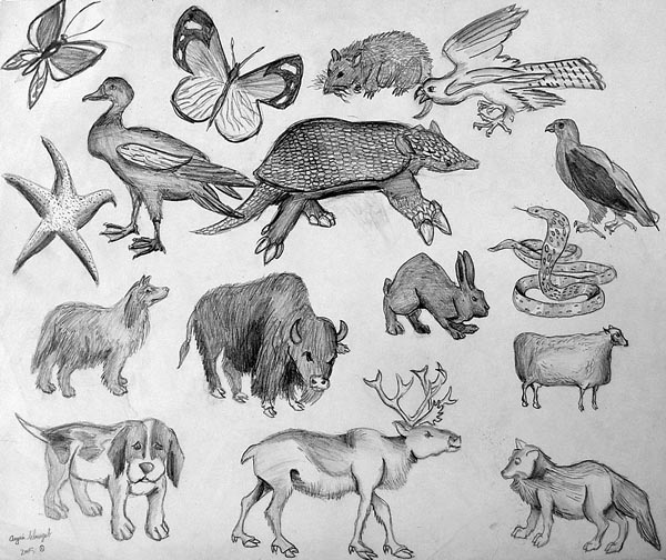 Sketches_1