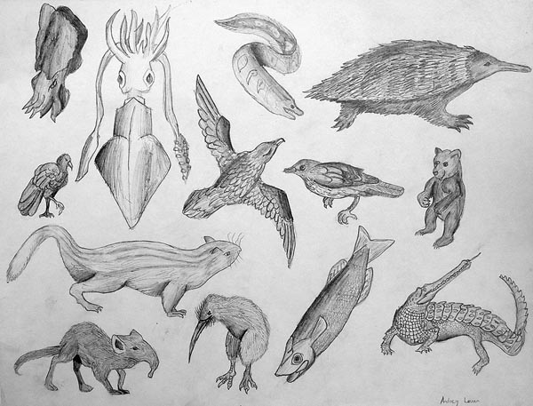 Sketches_2