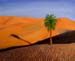 Landscape_5_oil