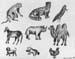 Sketches_(pen)